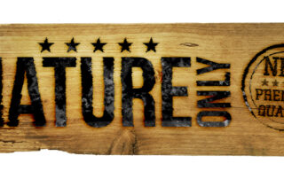 NatureOnly Logo